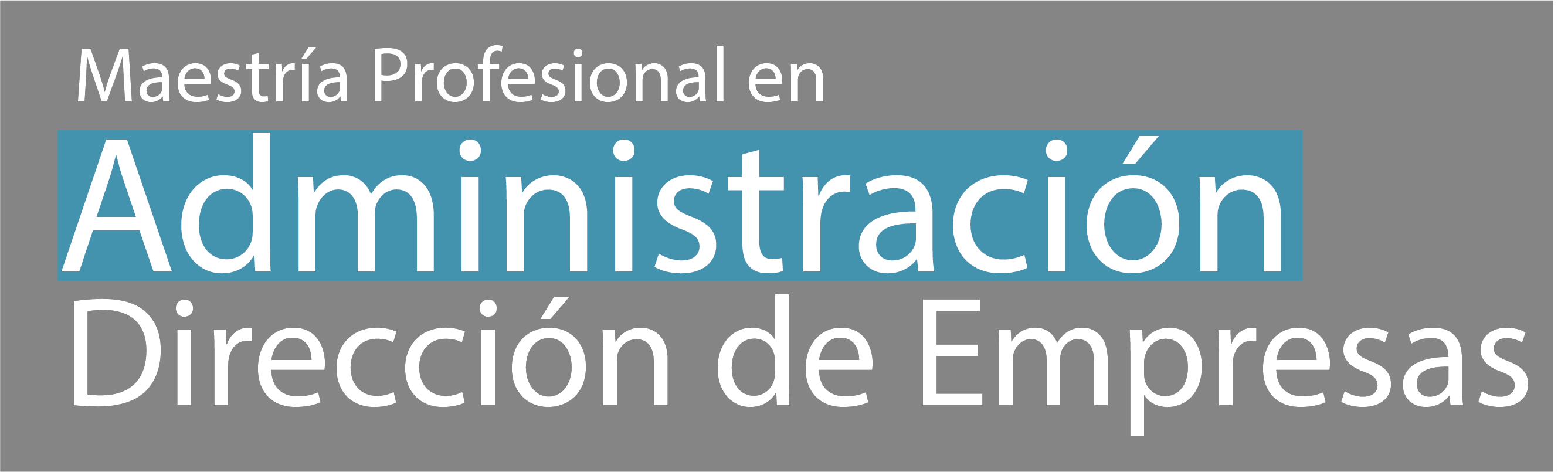 Maestría Profesional en Administración y Dirección de Empresas