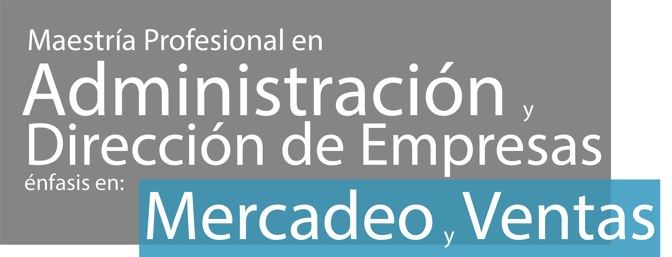 Maestría Profesional en Administración y Dirección de Empresas